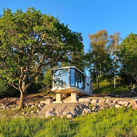 Forest Capsule Уддевалла Экстерьер фото